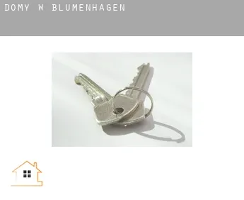 Domy w  Blumenhagen