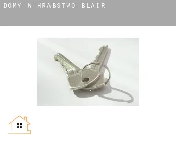 Domy w  Hrabstwo Blair