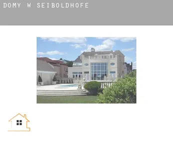 Domy w  Seiboldhöfe