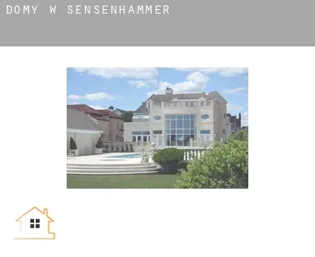 Domy w  Sensenhammer