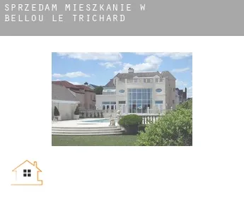 Sprzedam mieszkanie w  Bellou-le-Trichard