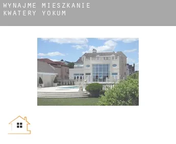 Wynajmę mieszkanie kwatery  Yokum