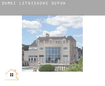 Domki letniskowe  Düpow