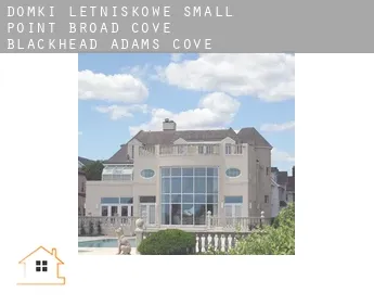 Domki letniskowe  Small Point-Broad Cove-Blackhead-Adams Cove