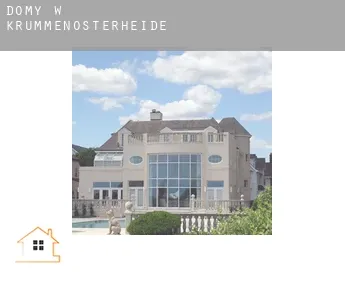 Domy w  Krummenosterheide