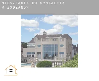 Mieszkania do wynajęcia w  Bodzanów