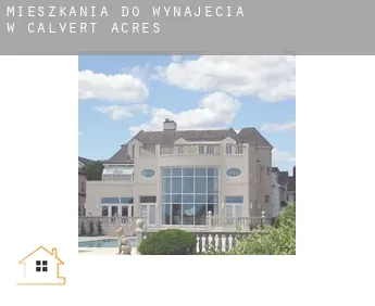Mieszkania do wynajęcia w  Calvert Acres