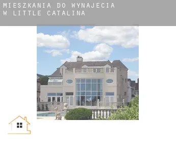 Mieszkania do wynajęcia w  Little Catalina