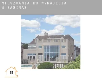 Mieszkania do wynajęcia w  Sabinas