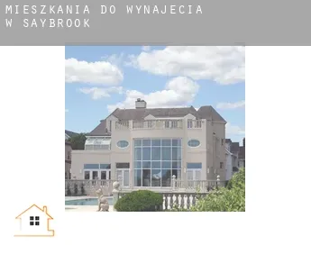 Mieszkania do wynajęcia w  Saybrook