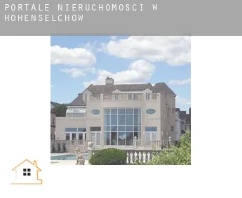 Portale nieruchomości w  Hohenselchow
