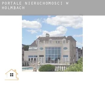 Portale nieruchomości w  Holmbach