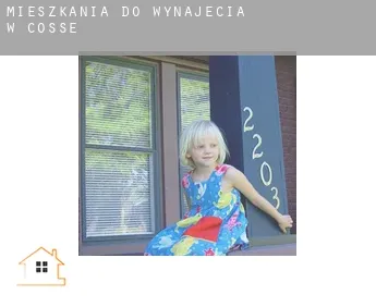 Mieszkania do wynajęcia w  Cossé