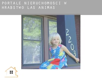 Portale nieruchomości w  Hrabstwo Las Animas