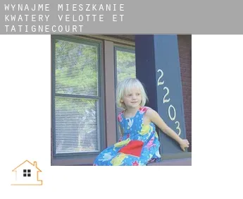 Wynajmę mieszkanie kwatery  Velotte-et-Tatignécourt