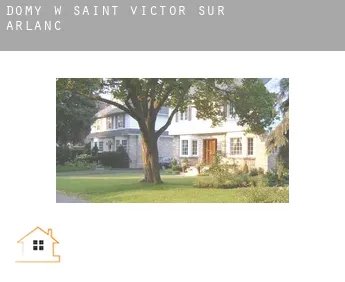 Domy w  Saint-Victor-sur-Arlanc