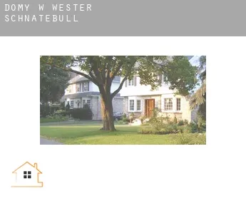 Domy w  Wester Schnatebüll