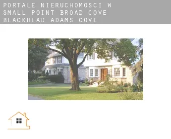 Portale nieruchomości w  Small Point-Broad Cove-Blackhead-Adams Cove