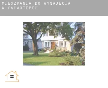 Mieszkania do wynajęcia w  Cacaotepec