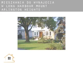 Mieszkania do wynajęcia w  Long Harbour-Mount Arlington Heights