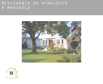 Mieszkania do wynajęcia w  Marigold