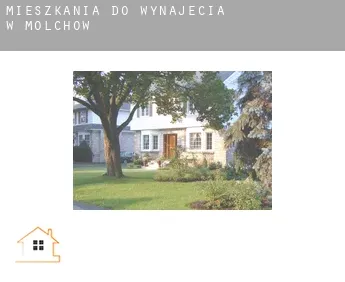 Mieszkania do wynajęcia w  Molchow