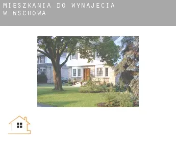 Mieszkania do wynajęcia w  Wschowa