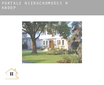 Portale nieruchomości w  Knoop