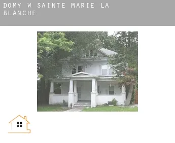 Domy w  Sainte-Marie-la-Blanche