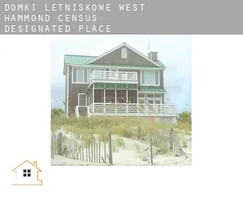 Domki letniskowe  West Hammond