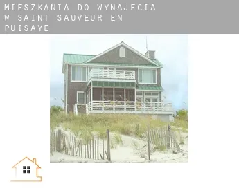 Mieszkania do wynajęcia w  Saint-Sauveur-en-Puisaye