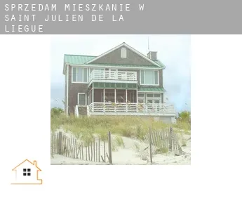 Sprzedam mieszkanie w  Saint-Julien-de-la-Liègue