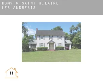 Domy w  Saint-Hilaire-les-Andrésis