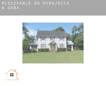 Mieszkania do wynajęcia w  Coba