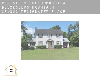 Portale nieruchomości w Blucksberg Mountain