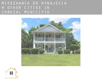 Mieszkania do wynajęcia w  Other cities in Corozal Municipio