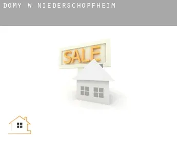 Domy w  Niederschopfheim