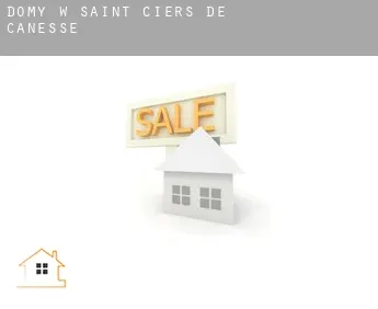 Domy w  Saint-Ciers-de-Canesse