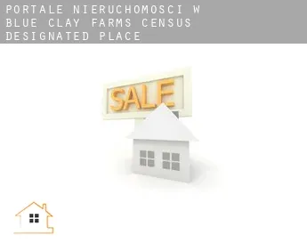 Portale nieruchomości w  Blue Clay Farms