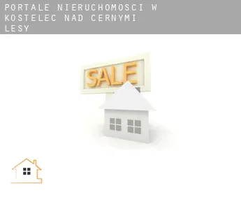 Portale nieruchomości w  Kostelec nad Černými Lesy