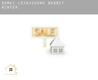 Domki letniskowe  Babbit Winter