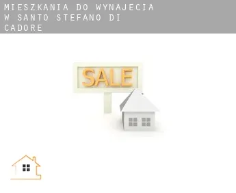 Mieszkania do wynajęcia w  Santo Stefano di Cadore