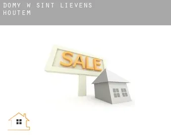 Domy w  Sint-Lievens-Houtem