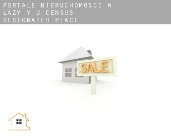 Portale nieruchomości w  Lazy Y U