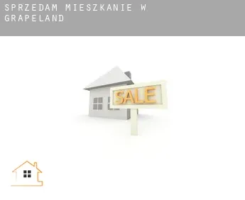 Sprzedam mieszkanie w  Grapeland