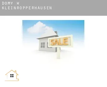 Domy w  Kleinropperhausen