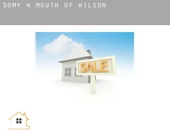 Domy w  Mouth of Wilson