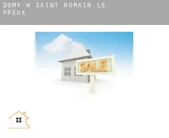 Domy w  Saint-Romain-le-Preux