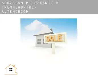 Sprzedam mieszkanie w  Trennewurther Altendeich