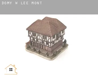 Domy w  Lee Mont